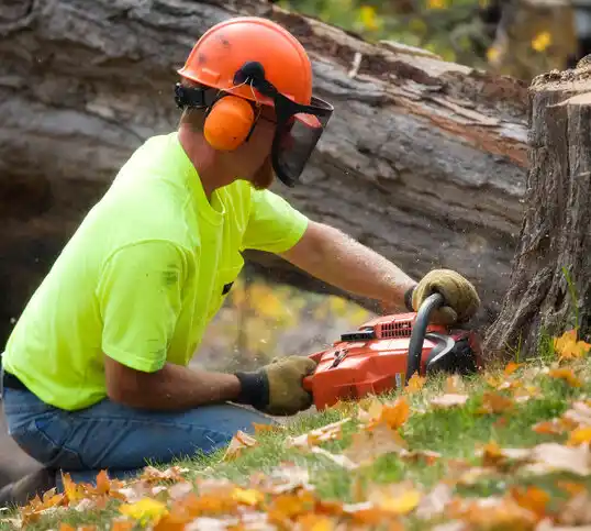 tree services Hanson